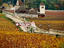 Image_19591-113