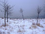 Snow on Scarborough Bluffs.