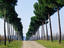 Torgiano, Umbria
