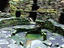 Iron Age Broch, Shetland Islands