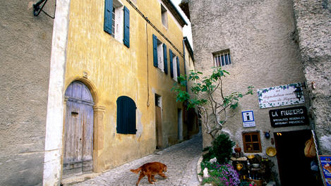 Image_19675-3
