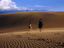 People horse riding in sand dunes.