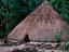 Thatched roof hut, East Timor