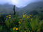 Image_19791-56