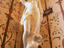 Museu de Republica, Catete, Brazil