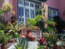 The early 20th century mansion turned into the Hotel Gran de Oro, San Jose