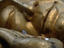 Phu Si, Reclining Buddha, Laos