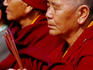 Nun praying during Losar (Tibetan New Year) celebrations at Bodhnath Stupa.