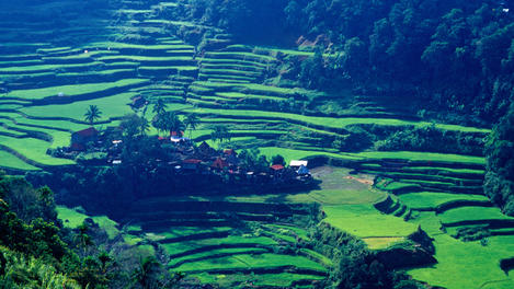 Image_19861-2