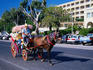 One of the horse and carriages which travel around the town - Corfu Town, Corfu Island, Ionian Islands