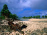 Shipwreck on Airport Beach.