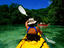 Kayakers in mangroves.