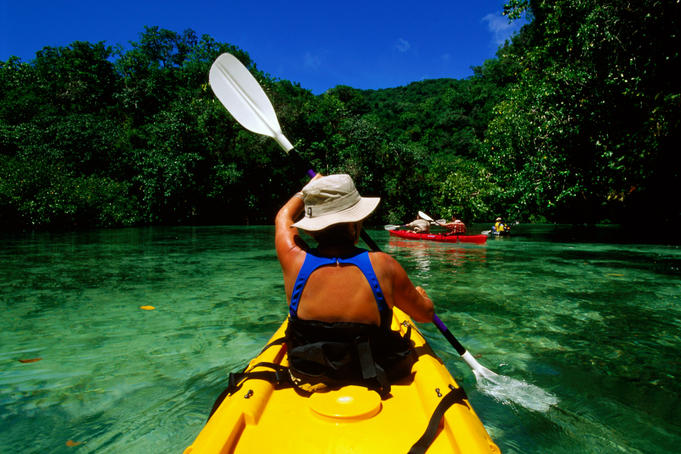 Kayakers in mangroves.