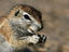 Image_200-101