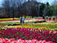 Image_2001-59