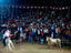 National Fiesta, Costa Rica