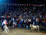 National Fiesta, Bulls and dancing.
