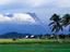 Mt Kinabalu, Rice paddies, Borneo