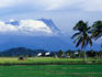 View of Mt Kinabalu, Southeast Asia's highest mountain, across rice paddies.