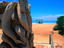 Monkey Mia, Western Australia