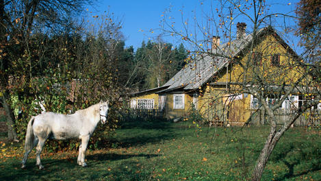 Image_20070-23