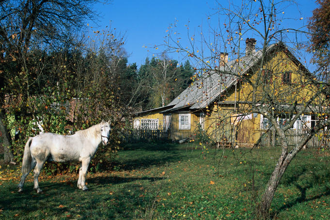 The Baltic States: travel books to read before you go