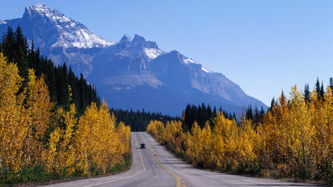 Image_20089-3