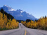Vehicle on Icefields Parkway near Crossing.