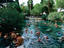 Pamukkale thermal baths, Turkey