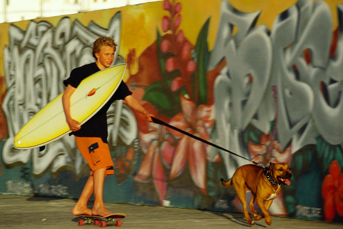 Boy with surfboard riding skateboard while being towed by dog.