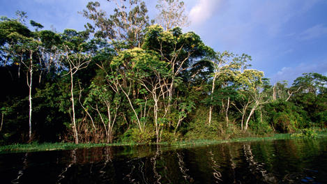 Image_20312-3