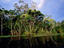 Image_20312-3