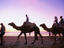Camel rides on Mindil Beach.