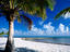 Image_20336-22
