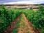 Image_20377-32