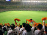 Yomiuri Giants baseball fans going wild, Tokyo Dome.