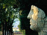 16th century Giardino di Boboli around the Palazzo Pitti.