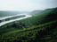 Rheingau vineyards, Rhine Valley