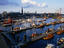Elb River, Hamburg