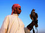 Handler with gyr-saker falcon.