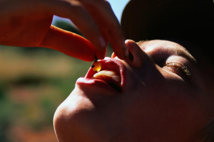 Eating Honey Ants