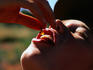 Child eating a honey ant.