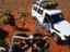 Image_20537-4