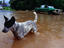 Rain storm, Cairns