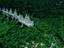 Aerial view of ruins, Yucatán Peninsula