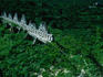Aerial view of ruins surrounded by trees.