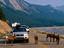 Image_20571-11