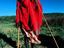 Portrait of Zulu man, near Nairobi.