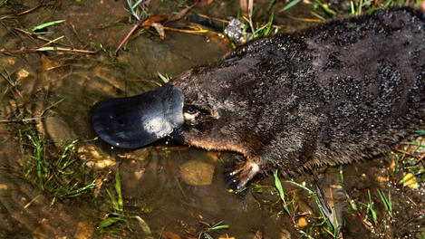 Image_2065-22