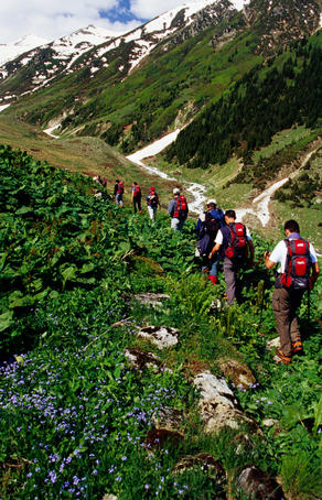 Overhead of hikers in Kackar Mountains near Yukari Kavron.